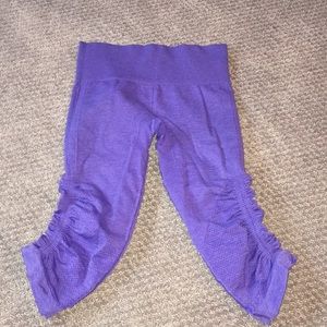 Lyly lemon ebb and flow crop